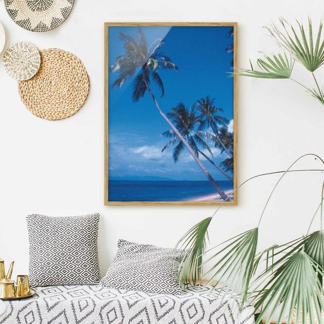 Picture With Frame - Mauritius Beach - Portrait 4:3 Highland Dunes Frame Option: Brown Framed, Size: 70cm H x 50cm W x 2cm D on Productcaster.