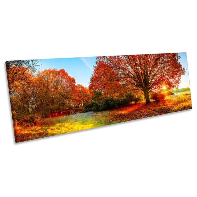 Autumn Tree Sunset Landscape Print PANORAMA CANVAS WALL ART Picture Red 17 Stories Size: 30.48cm H x 91.44cm W x 2cm D on Productcaster.