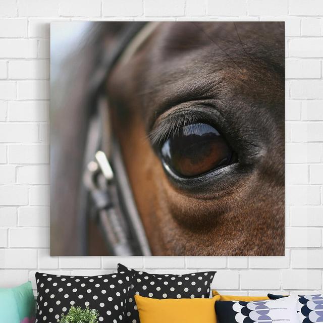 Horse Eye No.3 - Wrapped Canvas Photograph Ebern Designs on Productcaster.