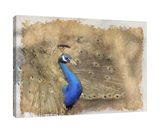 Antique Peacock 2 by Kimberly Allen - Wrapped Canvas Graphic Art Print East Urban Home Size: 61cm H x 81cm W x 4cm D on Productcaster.