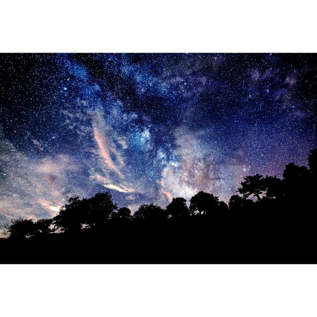 Milky Way Over Forest by Guvendemir - Wrapped Canvas Print Alpen Home Size: 61cm H x 91cm W on Productcaster.