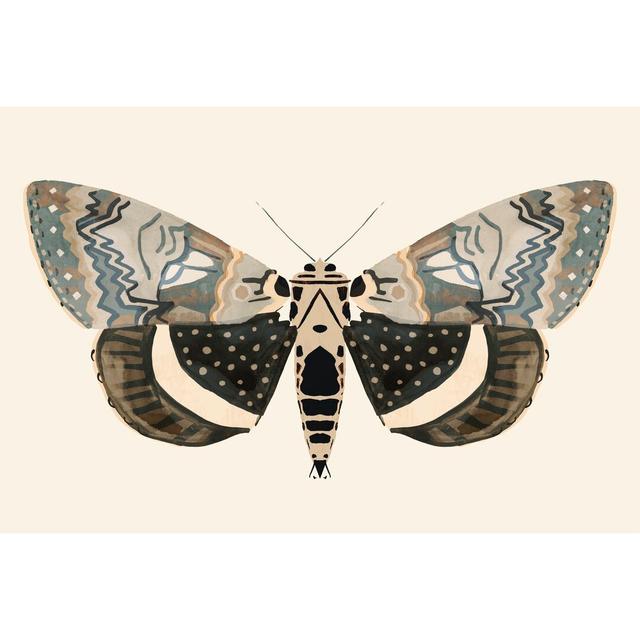 Neutral Moth I by Victoria Barnes - Wrapped Canvas Painting August Grove Size: 51cm H x 76cm W x 3.8cm D on Productcaster.