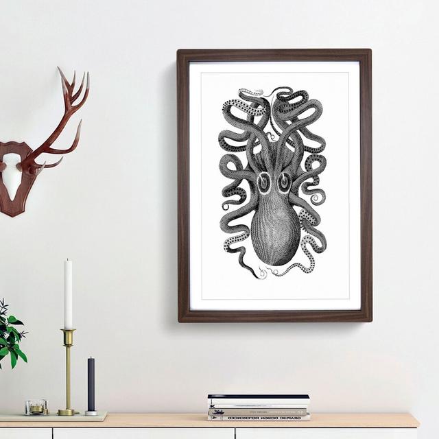 Octopus in Black and White by George Shaw - Picture Frame Drawing Print on MDF East Urban Home Frame Option: Walnut Framed, Size: 48cm H x 36cm W x 2c on Productcaster.