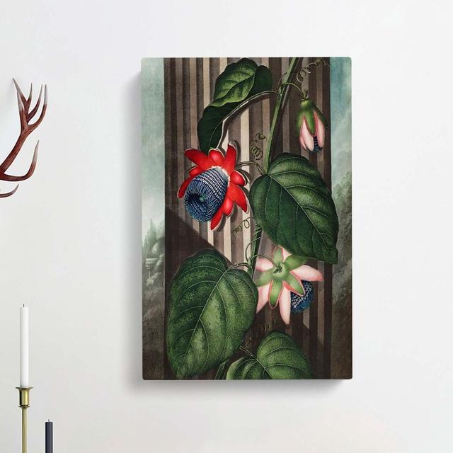 Winged Passion Flower by R.J. Thornton - Wrapped Canvas Print East Urban Home Size: 50cm H x 35cm W x 3cm D on Productcaster.