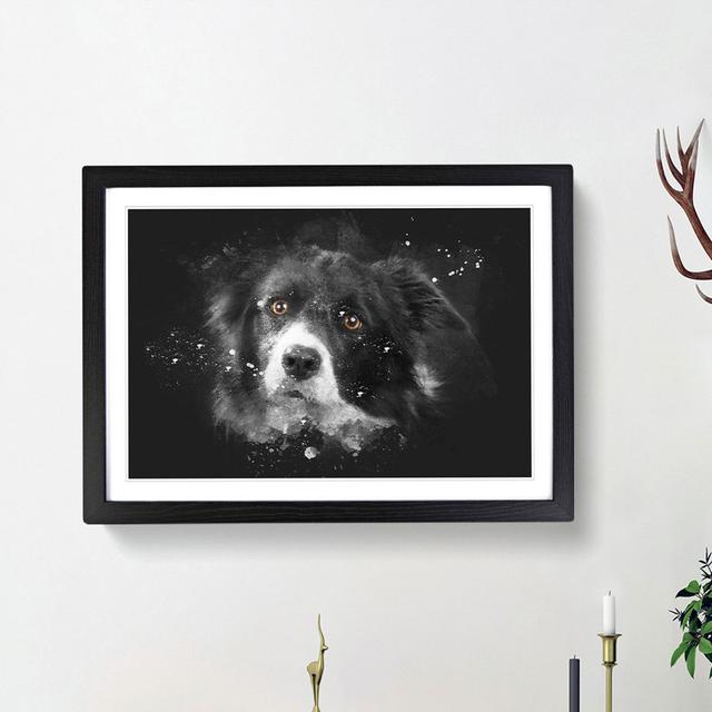 Brown Eyed Border Collie Dog - Picture Frame Painting Print East Urban Home Frame Option: Black Framed, Size: 24cm H x 33cm W x 2cm D on Productcaster.