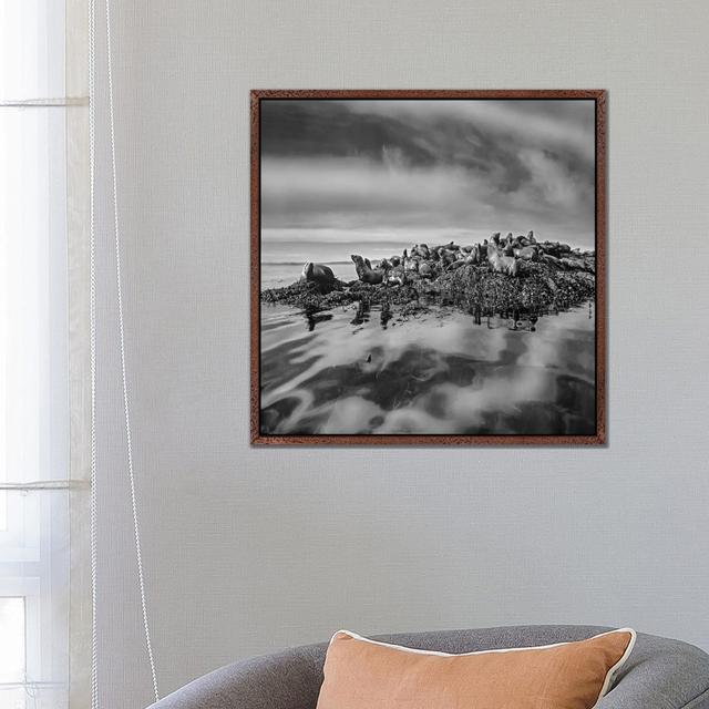 Steller's Sea Lions, Alaska by Tim Fitzharris - Gallery-Wrapped Canvas Giclée on Canvas 17 Stories Format: Classic Wood Framed, Size: 66.04cm H x 66.0 on Productcaster.