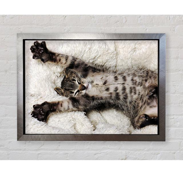 Cat Nap Framed Print Wall Art Latitude Run Size: 59.7cm H x 84.1cm W x 3.4cm D, Format: Silver Framed Paper on Productcaster.