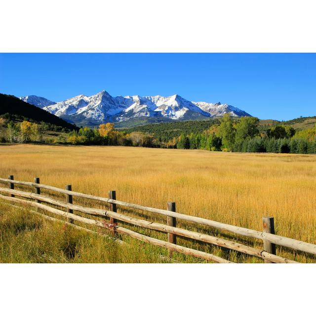 Dallas Divide, Uncompahgre National Forest, Colorado August Grove Size: 81cm H x 122cm W x 3.8cm D on Productcaster.