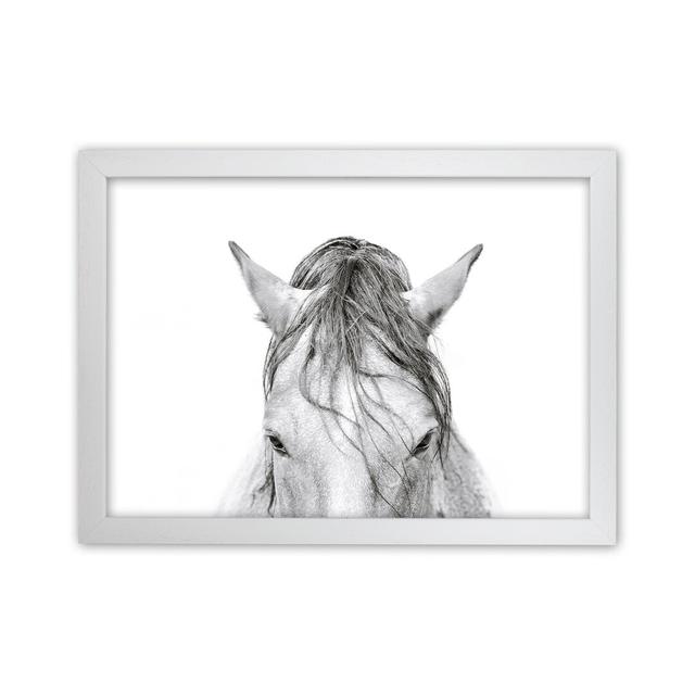 Horse II by Victoria Frost - Photograph Print August Grove Size: 34cm H x 46cm W x 3cm D, Format: White Framed on Productcaster.