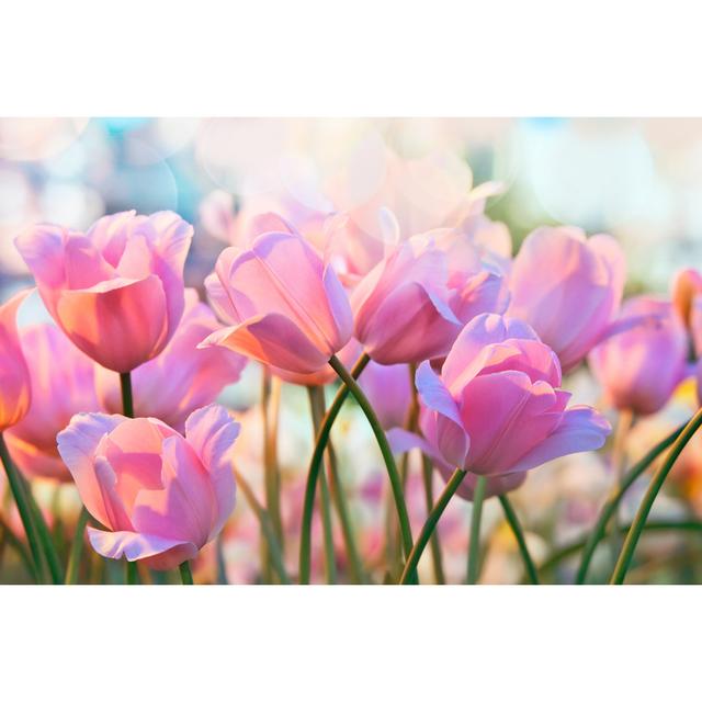 Tulips by TatianaMironenko - Wrapped Canvas Print Ebern Designs Size: 20cm H x 30cm W on Productcaster.