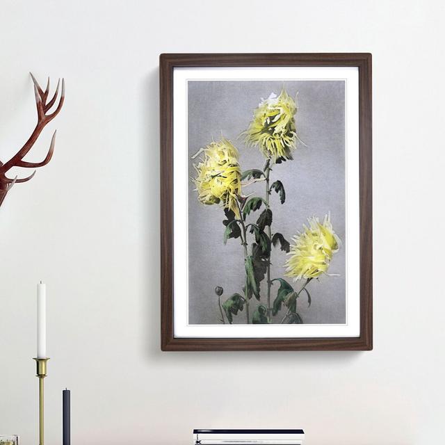 Yellow Chrysanthemum Flowers by Ogawa Kazumasa - Picture Frame Painting Print East Urban Home Size: 36cm H x 27cm W x 2cm D, Frame Option: Walnut Fram on Productcaster.