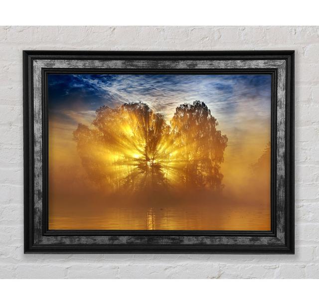 Golden Sunburst Tree Framed Print Highland Dunes Size: 29.7cm H x 42cm W on Productcaster.