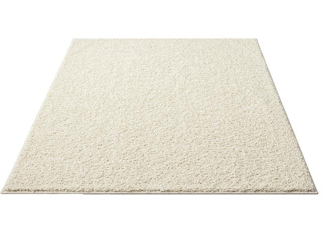 Mierra No Pattern Machine -made Machine Woven Area Rug 17 Stories Rug Size: Rectangle 160 x 230cm, Colour: Cream on Productcaster.