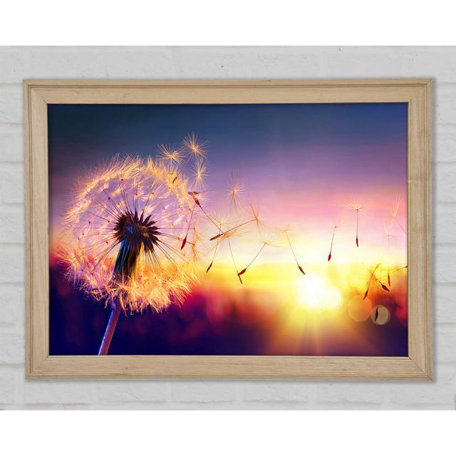 Whisper In The Sun - Print Bright Star Size: 29.7cm H x 42cm W x 1.5cm D on Productcaster.