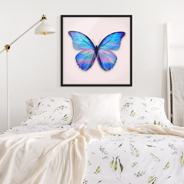 Gerahmtes Poster Holographic Butterfly von Jonas Loose Brambly Cottage Rahmenauswahl: Schwarzer Rahmen on Productcaster.