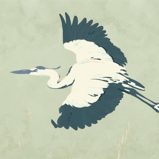 Heron Flying II by Jacob Green - Wrapped Canvas Painting Highland Dunes Size: 91cm H x 91cm W on Productcaster.