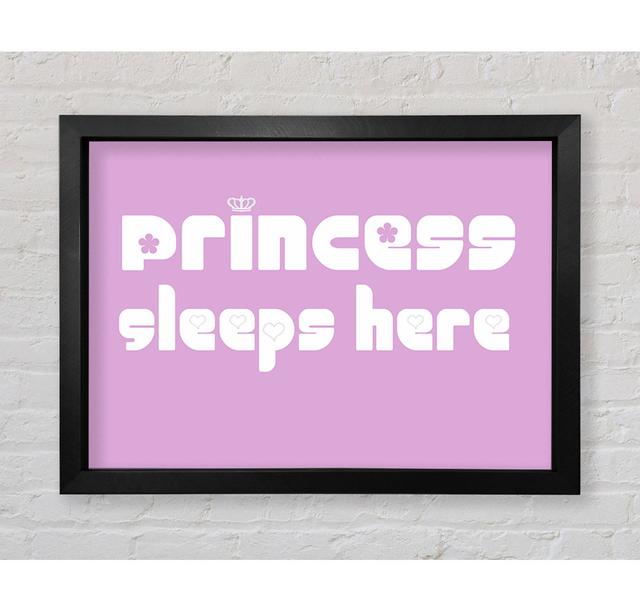 Princesss Sleeps Here 2 Pink Framed Print Happy Larry Size: 100cm H x 141.4cm W on Productcaster.