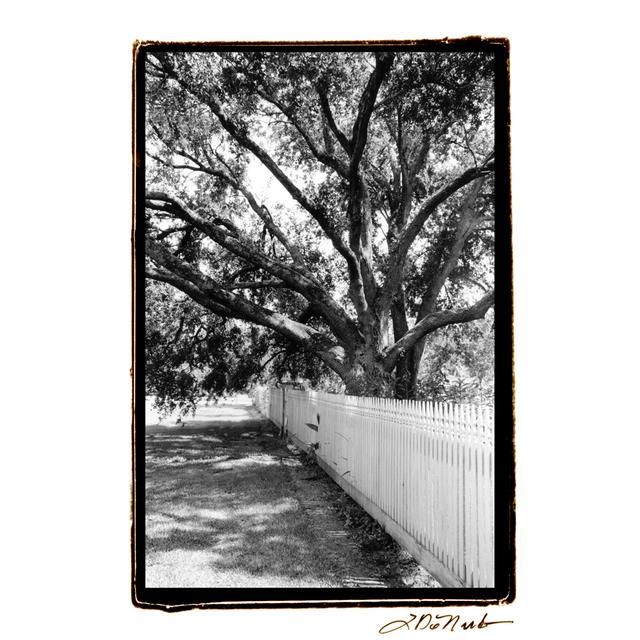 Summer Shade II - Wrapped Canvas Art Prints Ebern Designs Size: 30cm H x 20cm W x 3.8cm D on Productcaster.