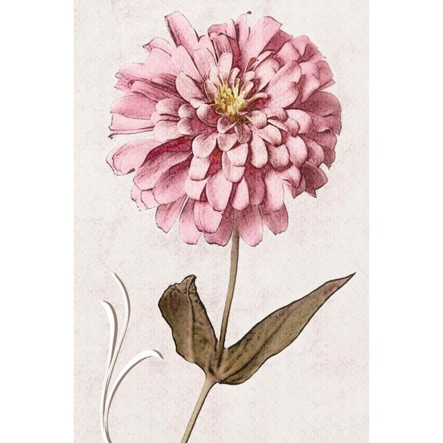 Pink Zinnia I by Christine Zalewski - Wrapped Canvas Painting Marlow Home Co. Size: 46cm H x 30cm W on Productcaster.