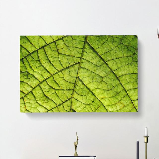 Leaf Roads - Wrapped Canvas Print East Urban Home Size: 40cm H x 60cm W x 3cm D on Productcaster.