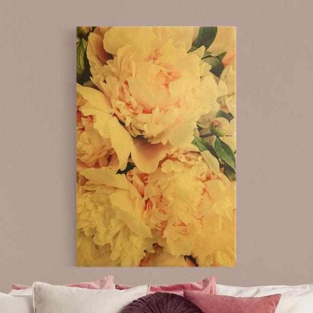 Peonies - Wrapped Canvas Art Prints Canora Grey Size: 90cm H x 60cm W on Productcaster.