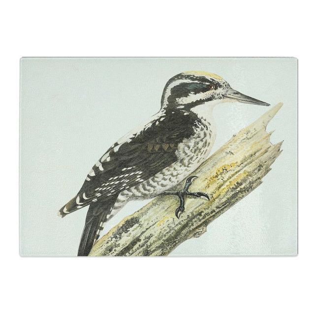 Tempered Glass a Three-Toed Woodpecker Chopping Board East Urban Home Size: 39 cm W x 28.5 cm L on Productcaster.