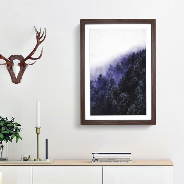 Forest Fog in Germany - Picture Frame Painting Print East Urban Home Size: 33cm H x 24cm W x 2cm D, Frame Option: Walnut Framed on Productcaster.