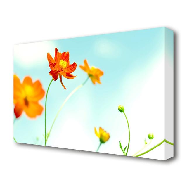 Perfect Flower Flowers Canvas Print Wall Art East Urban Home Size: 66.04 cm H x 101.6 cm W on Productcaster.