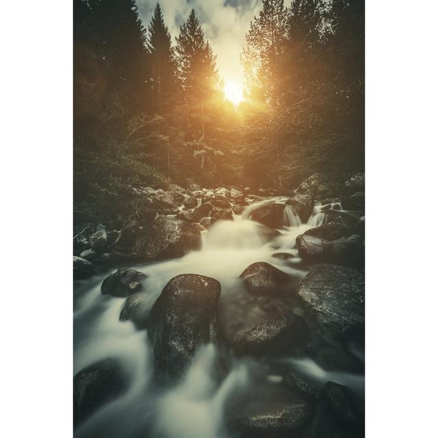 Stream In A Forest At Sunset by Da-kuk - Print Alpen Home Size: 122cm H x 81cm W on Productcaster.