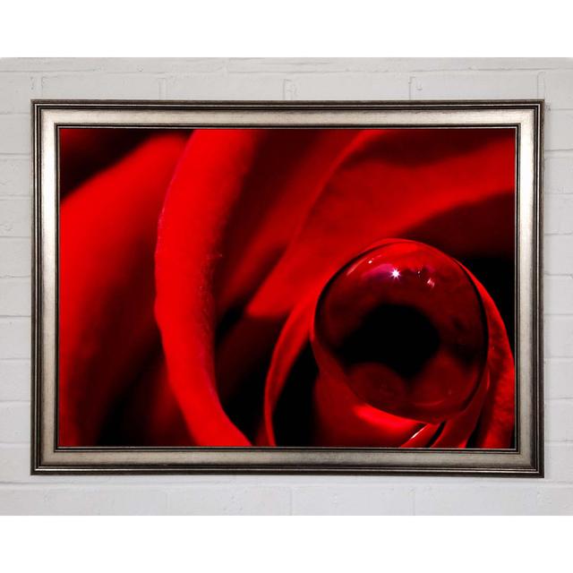 Red Rose Center Dew - Single Picture Frame Art Prints Brayden Studio Size: 42cm H x 59.7cm W x 1.5cm D on Productcaster.