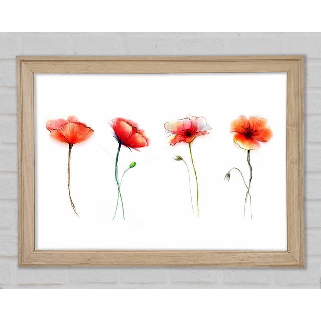 Beautiful Red Poppies Framed Print Rosalind Wheeler Size: 42" H x 59.7" W on Productcaster.