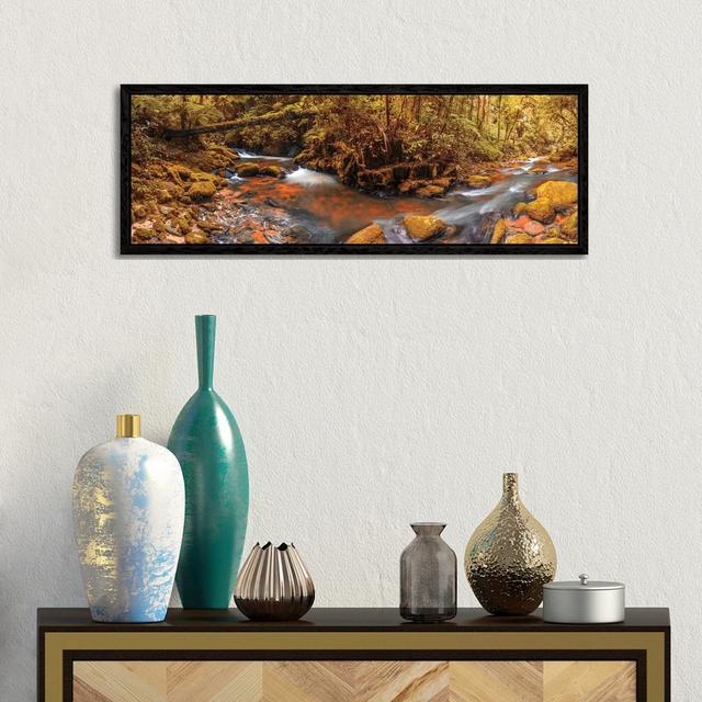 Jungle Panorama II by Glauco Meneghelli - Photograph on Canvas Union Rustic Size: 30.48cm H x 91.44cm W x 3.81cm D, Format: Black Floater Frame on Productcaster.