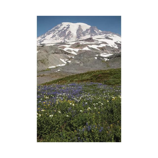 Broadleaf Lupine Flowers In A Field, Mount Rainier National Park, Washington State, USA - Wrapped Canvas Print Alpen Home Size: 66.04cm H x 45.72cm W on Productcaster.