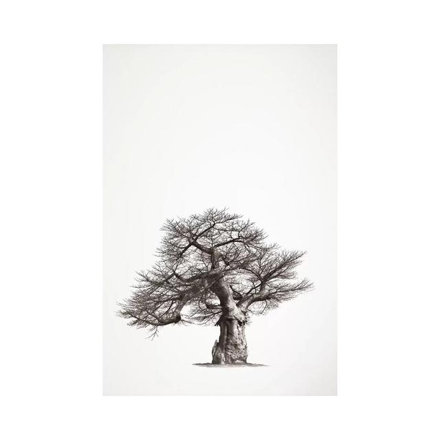 Baobab Legacy I by Klaus Tiedge - Wrapped Canvas Print ClassicLiving Size: 66.04cm H x 45.72cm W x 3.81cm D on Productcaster.