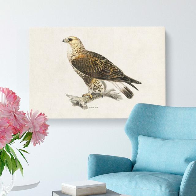 Rough-Legged Hawk by Von Wright - Wrapped Canvas Painting Print East Urban Home Size: 50cm H x 76cm W x 3cm D on Productcaster.