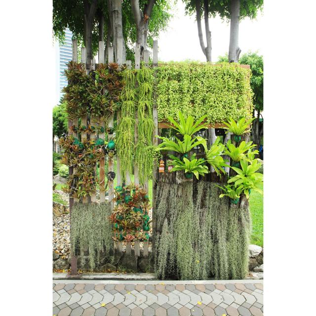 Vertical Garden by Drpnncpp - Wrapped Canvas Print 17 Stories Size: 91cm H x 61cm W on Productcaster.