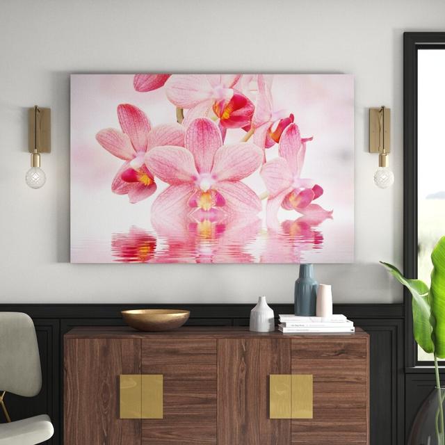 Leinwandbild Rosa Orchideen auf Wasser East Urban Home Größe: 60 L x 40 B on Productcaster.