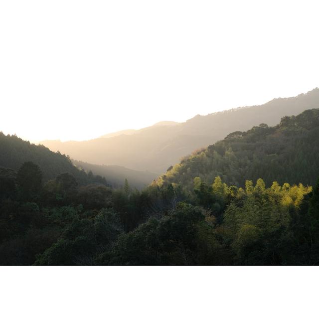 Garber Misty Morning at Fujieda by Peacefoo - Wrapped Canvas Photograph Alpen Home Size: 30cm H x 46cm W x 3.8cm D on Productcaster.