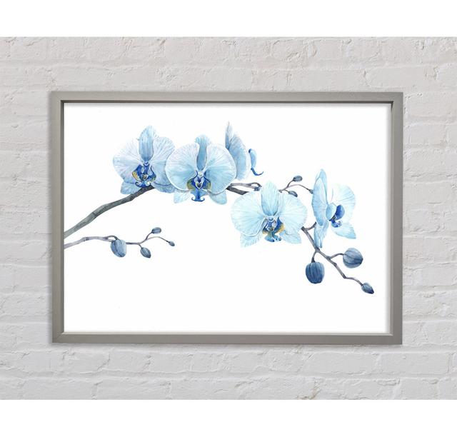 The Orchid Curve ClassicLiving Format: Grey Framed Paper, Size: 84.1cm H x 118.9cm W x 3.3cm D on Productcaster.