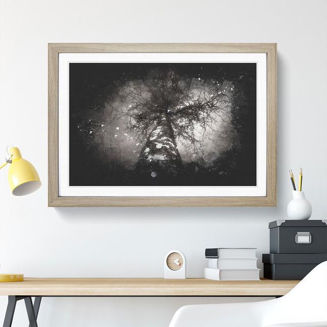 Birch Tree - Picture Frame Graphic Art East Urban Home Size: 27cm H x 36cm W x 2cm D, Frame Option: Oak on Productcaster.