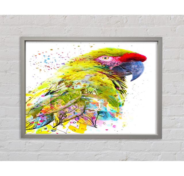 The Green Parrot Splatter - Print 17 Stories Format: Light Grey Framed Canvas, Size: 59.7cm H x 84.1cm W x 3.3cm D on Productcaster.