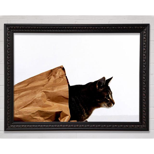 Cat In A Bag Framed Print Bright Star Size: 100cm H x 141.4cm W on Productcaster.