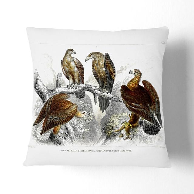 Collection of Eagle Birds by Oliver Goldsmith Cushion with Filling East Urban Home Size: 55 x 55 cm, Backing Colour: Black on Productcaster.