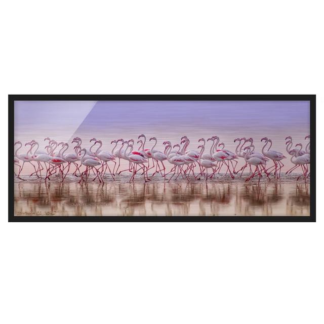 Flamingo Party - Picture Frame Graphic Art Bay Isle Home Frame Option: Black Framed, Size: 30cm H x 75cm W x 2cm D on Productcaster.