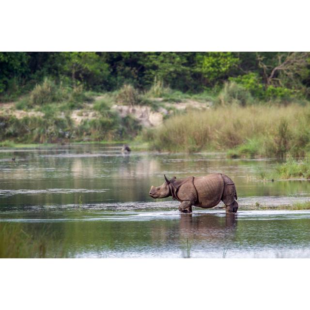 Greater One-Horned Rhinoceros In Bardia National Park, Nepal - Wrapped Canvas Print Ebern Designs Size: 20cm H x 30cm W x 3.8cm D on Productcaster.