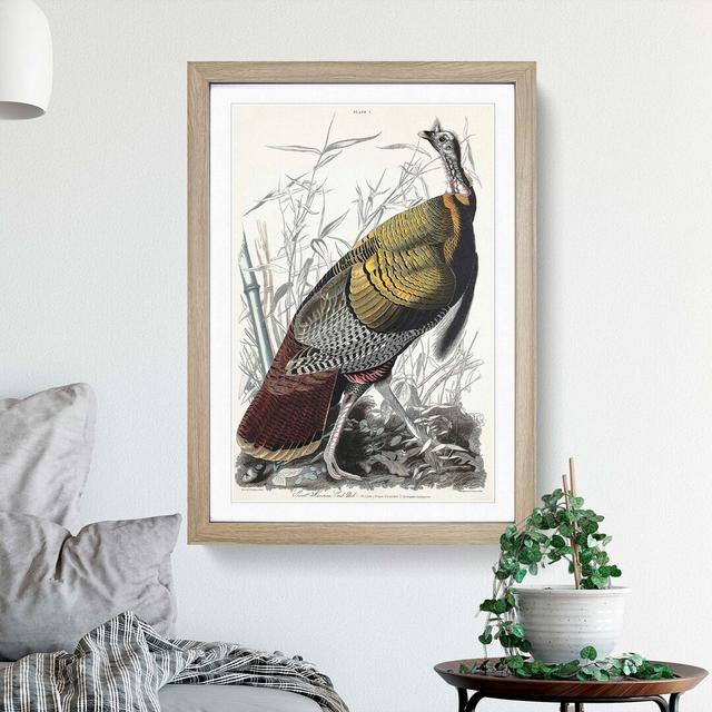 Wild Turkey by John James Audubon - Picture Frame Art Print East Urban Home Size: 50cm H x 35cm W x 2cm D, Frame Option: Oak on Productcaster.