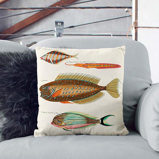 East Indies Fish Illustrations Fol. 13 by Louis Renard Cushion with Filling East Urban Home Backing Colour: White, Size: 55cm H x 55cm W x 20cm D on Productcaster.