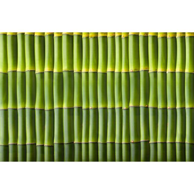 Natural Bamboo Seamless Wall Pattern - Print 17 Stories Size: 20cm H x 30cm W on Productcaster.