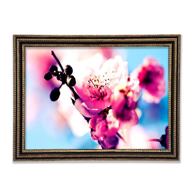 Beautiful Cherry Blossom Framed Print Ebern Designs Size: 84.1cm H x 118.9cm W on Productcaster.