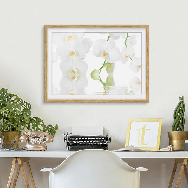 Gerahmtes Papierbild Wellness Orchidee Weiße Orchidee East Urban Home Größe: 50 cm H x 70 cm B, Rahmenoptionen: Naturbelassenes Eichenholz on Productcaster.